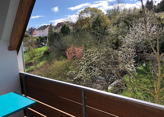 Blaues Zimmer, -keine Wohnung, Keine Küche-mit Grossem Balkon, Bad Ist Ein Traum, Nur 50 Schritte Zum Radweg Am Main Pensión